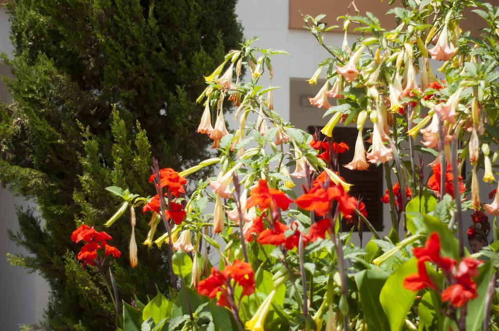 Apartamentos Zodiac Σαν Αντόνιο Εξωτερικό φωτογραφία